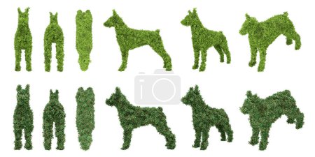 Téléchargez les photos : Buisson topiaire de jardin en forme de chien. rendu 3d d'objets isolés. - en image libre de droit