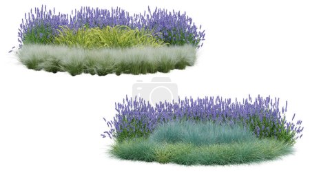 Photo for Realistic small garden. 3d rendering of isolated objects. - Royalty Free Image
