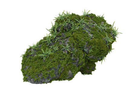 Foto de Plantas de musgo sobre piedra. representación 3d de objetos aislados. - Imagen libre de derechos
