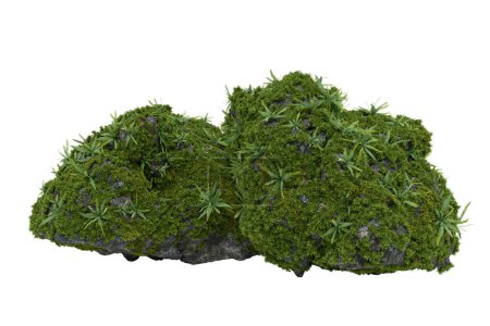 Foto de Plantas de musgo sobre piedra. representación 3d de objetos aislados. - Imagen libre de derechos