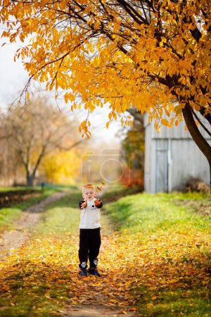 Foto de A 3-year-old boy throws yellow leaves into a puddle on the road in the village of his grandparents. Children's games in October. It's a good time of year for family outings - Imagen libre de derechos