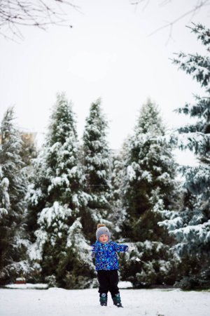 Foto de Un niño pequeño camina a través de un bosque de coníferas nevadas en invierno. Chaqueta azul cálida y sombrero - Imagen libre de derechos