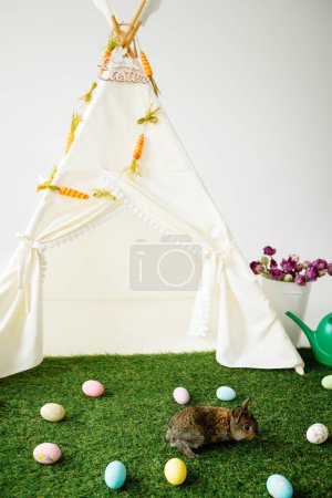 Photo for Gray rabbit on green grass. Easter fluffy animal. Children's wigwam - Royalty Free Image