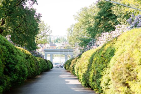 Téléchargez les photos : Jardin botanique avec de grands buissons verts. Un endroit pour une promenade en famille - en image libre de droit