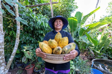 Farmer in Coco Chocolate Plant halten Kokosfrucht oder reifen Kokoskorb lächelnd Portrait Blick in die Kamera