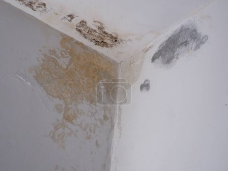 Verschmutzte Wände durch Wasserdurchsickerung an den Wänden