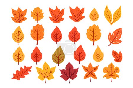 Ilustración de Colección de hojas de otoño, conjunto de hojas, colección de hojas - Imagen libre de derechos