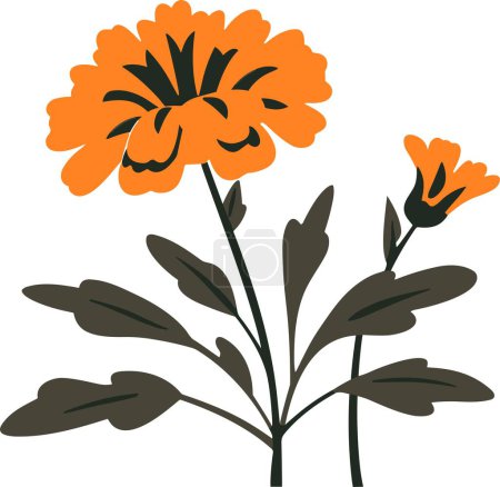 Illustration for Marigold vector for sticker and wall art - Royalty Free Image