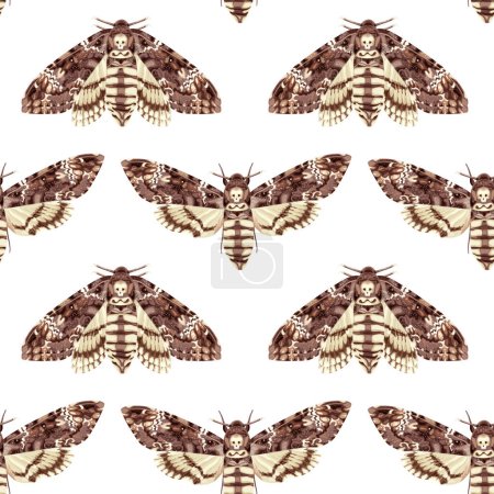 Nahtloses Muster mit Totenkopffalter Motte. Nächtlicher tropischer Schmetterling. Mystisches Symbol. Aktienvektorabbildung auf weißem Hintergrund.