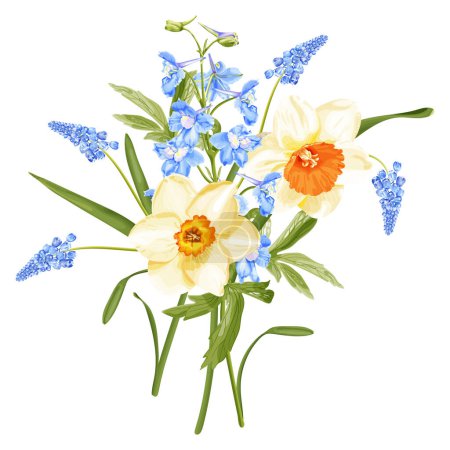 Illustration for Spring bouquet with narcissus, blue delphinium flower and hyacinth. Stock vector illustration on a white background. - Royalty Free Image