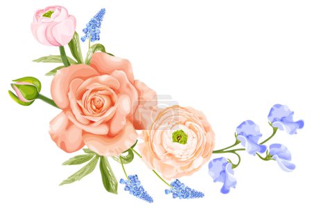 Illustration for Spring bouquet with rose, pink ranunculus, blue hyacinth flower and sweet pea. Stock vector illustration on a white background. - Royalty Free Image