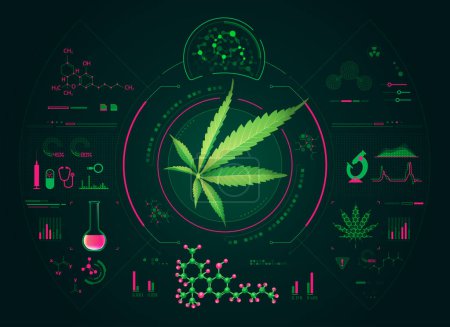 Illustration for Chemical analysis of cannabis or marijuana for medical industry, hemp leaf with science interface - Royalty Free Image