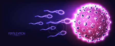 Illustration for Futuristic natural fertilization concept with glowing low polygonal human sperm and egg cells on dark blue to purple background. Reproductive medicine banner. Modern design vector illustration. - Royalty Free Image