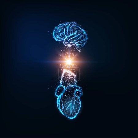 Illustration for Futuristic emotional intelligence concept with glowing low polygonal human brain and heart and light energy between them isolated on dark blue background. Modern wire frame design vector illustration. - Royalty Free Image