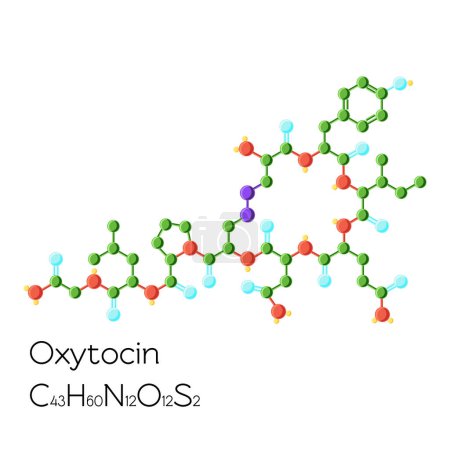 Illustration for Oxytocin hormone structural chemical formula isolated on white background. Cartoon vector illustration in flat style. - Royalty Free Image