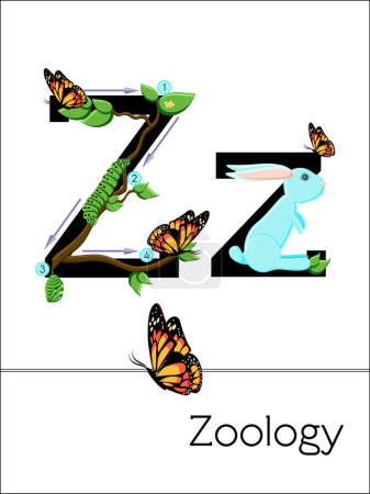 Illustration for Flash card letter Z is for Zoology. Science alphabet for kids. Puzzle ABC flash cards series. Cartoon vector illustration in flat style. - Royalty Free Image