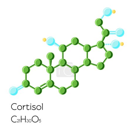 Illustration for Cortisol hormone structural chemical formula isolated on white background. Cartoon vector illustration in flat style. - Royalty Free Image