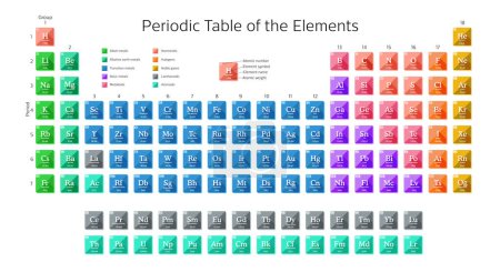 Illustration for Periodic table of the elements including new elements Nihonium, Moscovium, Tennessine and Oganesson with atomic number, element symbol, element name and atomic weight. Colorful vector illustration. - Royalty Free Image