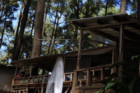 Téléchargez les photos : Kudus, décembre 2022.Portrait d'une vue sur une cabane dans un arbre à Sreni Indah pour des vacances reposantes avec la famille profitant de la vue sur la forêt protégée du Kudus. - en image libre de droit