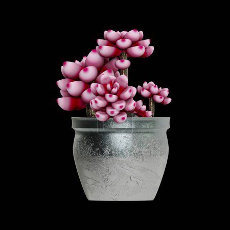 Potted plants placed on a black background