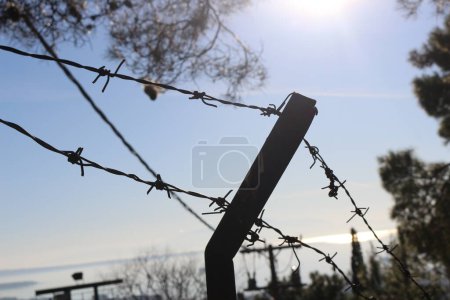 An image depicting the harsh reality of barbed wire, a symbol of defense and division, evoking feelings of confinement and restriction. Its menacing appearance serves as a stark reminder of the boundaries we create, both physical and metaphorical
