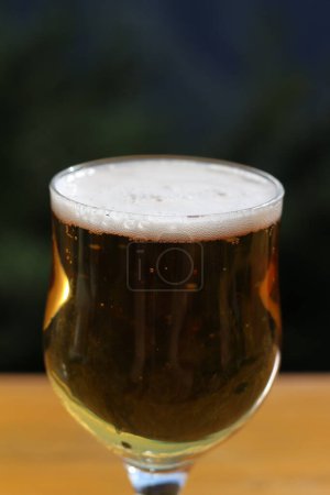 A tantalizing vertical shot captures the fullness and freshness of a beer glass, with golden bubbles dancing atop the amber liquid, inviting the viewer to indulge in its crisp and refreshing taste