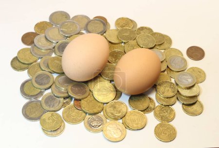 Ein Haufen Münzen, der ein einziges Ei stützt, spiegelt das empfindliche Gleichgewicht der Agrarökonomie wider