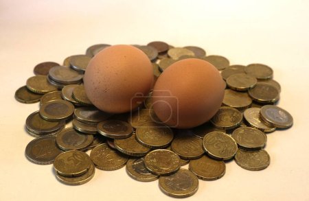 Ein Haufen Münzen, der ein einziges Ei stützt, spiegelt das empfindliche Gleichgewicht der Agrarökonomie wider