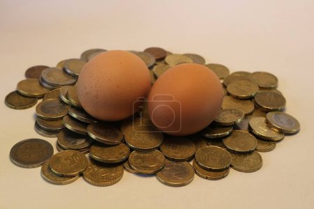 Una pila de monedas que sostienen un solo huevo refleja el delicado equilibrio de la economía agrícola