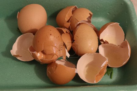 Unlock the potential of eggshells as a sustainable source of nutrition and eco-friendly solution