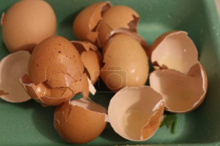 Desbloquear el potencial de las cáscaras de huevo como fuente sostenible de nutrición y solución ecológica