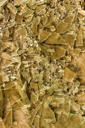 Photo for Dive into the fractured world of shattered glass with this mesmerizing texture, capturing the intricate patterns and jagged edges of fragmented panes - Royalty Free Image