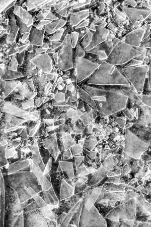 Sumérgete en el mundo fracturado de los cristales rotos con esta fascinante textura, capturando los intrincados patrones y bordes irregulares de los cristales fragmentados