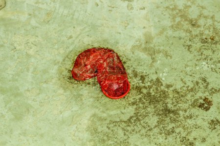 Photo for Uncover the harsh realities of urban life with this raw and unsettling image capturing a used condom discarded on the pavement. - Royalty Free Image