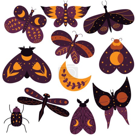 Illustration for Seamless pattern with celestial butterfly. Stock vector illustration. - Royalty Free Image