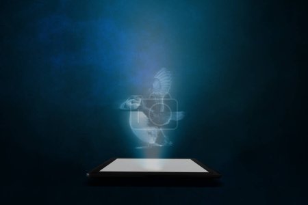 Foto de Un frailecillo atlántico se proyecta desde una tableta con un fondo abstracto azul. Inteligencia artificial. - Imagen libre de derechos