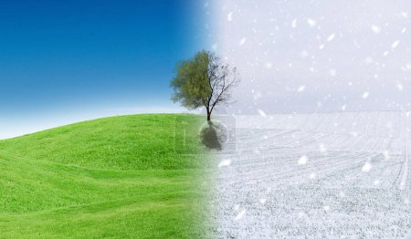 Changement de saison du paysage d'hiver au paysage d'été. Concept hiver vs été. Concept de changement climatique.