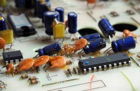 Téléchargez les photos : Carte de circuit électronique avec des composants assemblés dessus. Circuits intégrés, résistances et condensateurs. - en image libre de droit