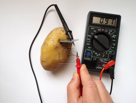 Photo for Potato battery. Generating electric from a potato and measuring its with voltmeter. Electrical voltage at millivolts levels. Bio battery. - Royalty Free Image