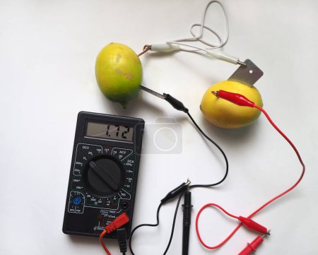 Photo for Measuring voltage with voltmeter from serial connected electrical sources. Lemon battery. Bio battery. - Royalty Free Image