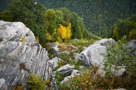 Téléchargez les photos : Début de l'automne en montagne à Raven Rock, Virginie-Occidentale - en image libre de droit