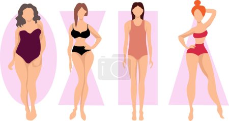 Illustration for Female body types. Vector illustration - Royalty Free Image
