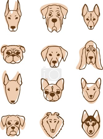 Illustration for Set of dogs of different breeds. Vector illustration - Royalty Free Image