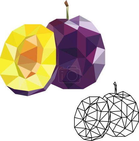 Illustration for Geometric plum and half-cut part with pit. Vector illustration - Royalty Free Image