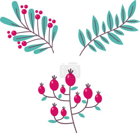 Illustration for Barberry branches with leaves and berries. Vector illustration - Royalty Free Image