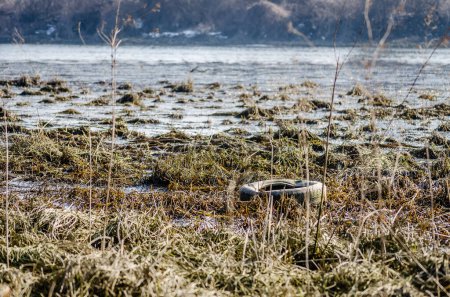 Discarded tires on the shore of the frozen lake. Discarded car tires on the shore of a frozen lake, in the afternoon.