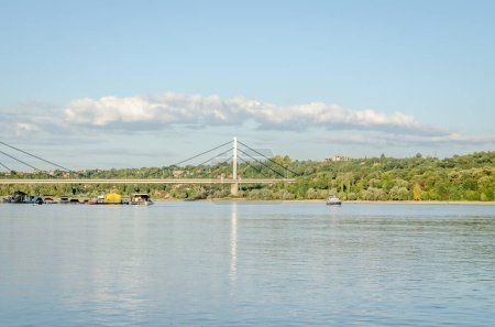 Widok na most Liberty w Nowym Sadzie, Serbia.