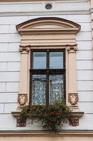 Timisoara, Romania - October 29, 2016: Windows with decorative baroque facades in the center of Timisoara, Romania