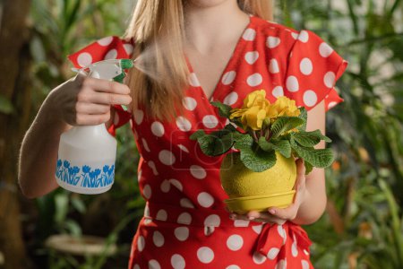 Photo for Woman is watering yellow flowers in the pot. Slow motion video of a girl doing home gardening. Woman is taking care of her home plan. High quality FullHD footage - Royalty Free Image
