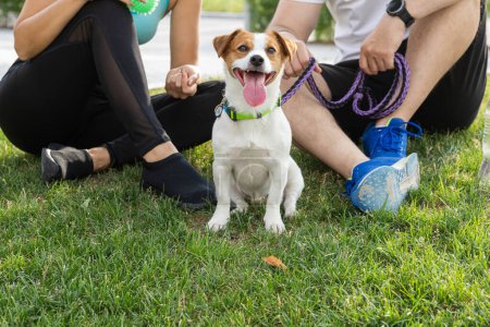 Foto de Un perro Jack Russell Terrier en un paseo por un parque de verano se sienta con una correa cerca de sus dueños. Un chico y una chica descansan al aire libre en la naturaleza con su mascota. El modo de enfoque selectivo sin rostro. Mira el - Imagen libre de derechos